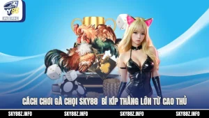 Cách Chơi Gà Chọi Sky88 - Bí Kíp Thắng Lớn Từ Cao Thủ