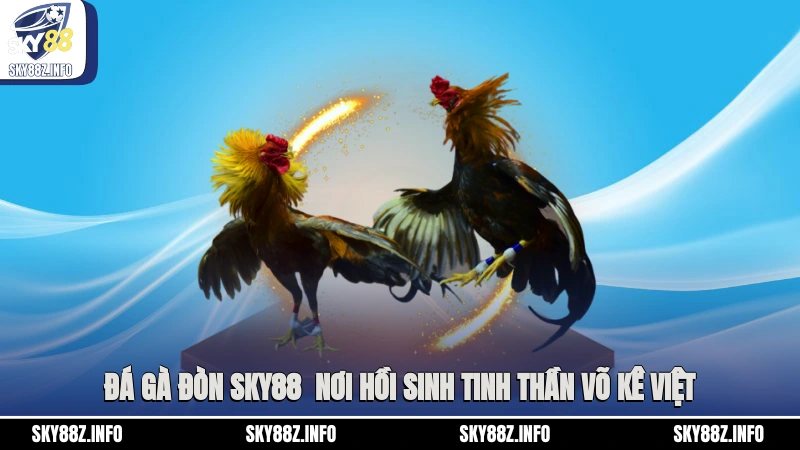 Đá Gà Đòn Sky88 - Nơi Hồi Sinh Tinh Thần Võ Kê Việt