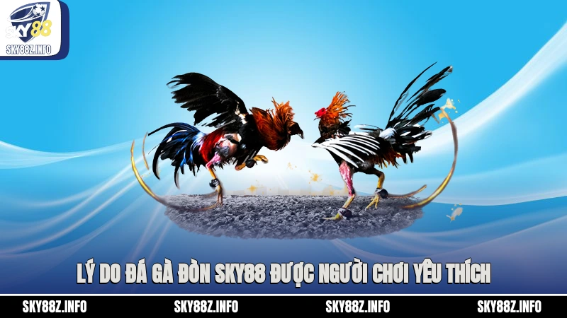 Lý do đá gà đòn Sky88 được người chơi yêu thích