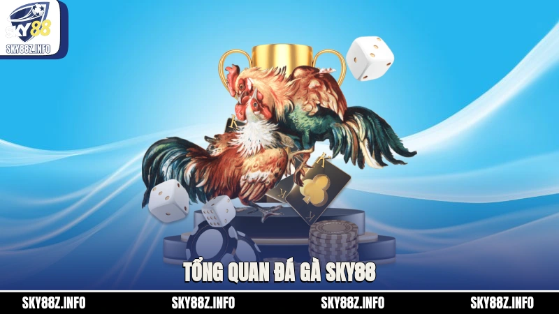Tổng quan đá gà Sky88